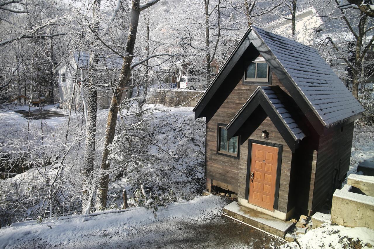 Hotel Villa Hakuba Esterno foto